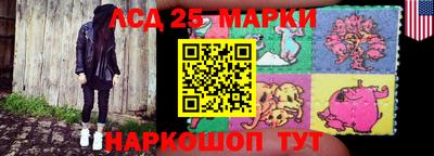 эйфоретик Аргун