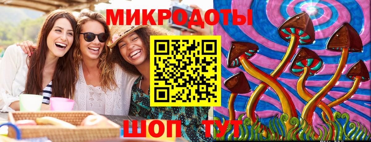 Галлюциногенные грибы Psilocybe  Севастополь 